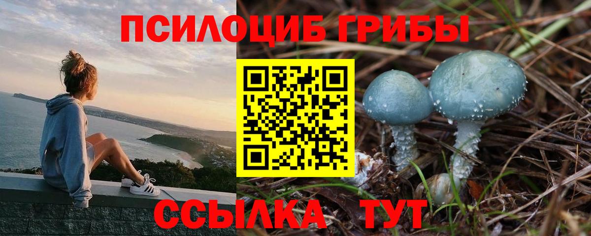 закладки  Галлюциногенные грибы мухоморы  Архангельск  Вход с VPN  Галлюциногенные грибы MAGIC MUSHROOMS 